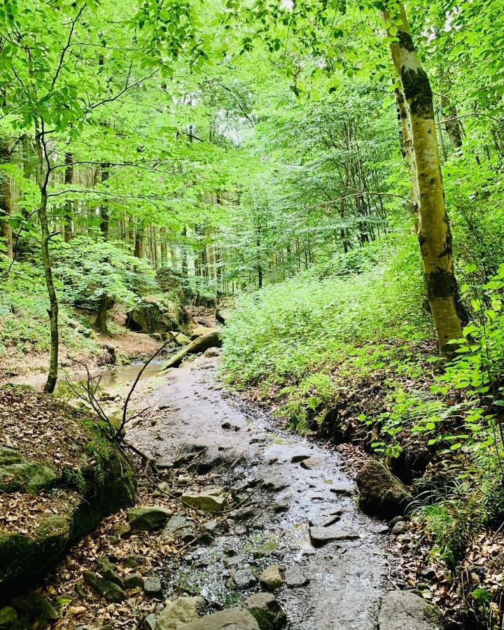 Tailor'S Trail Gite D'Adventure Beaufort Mullerthal エクステリア 写真