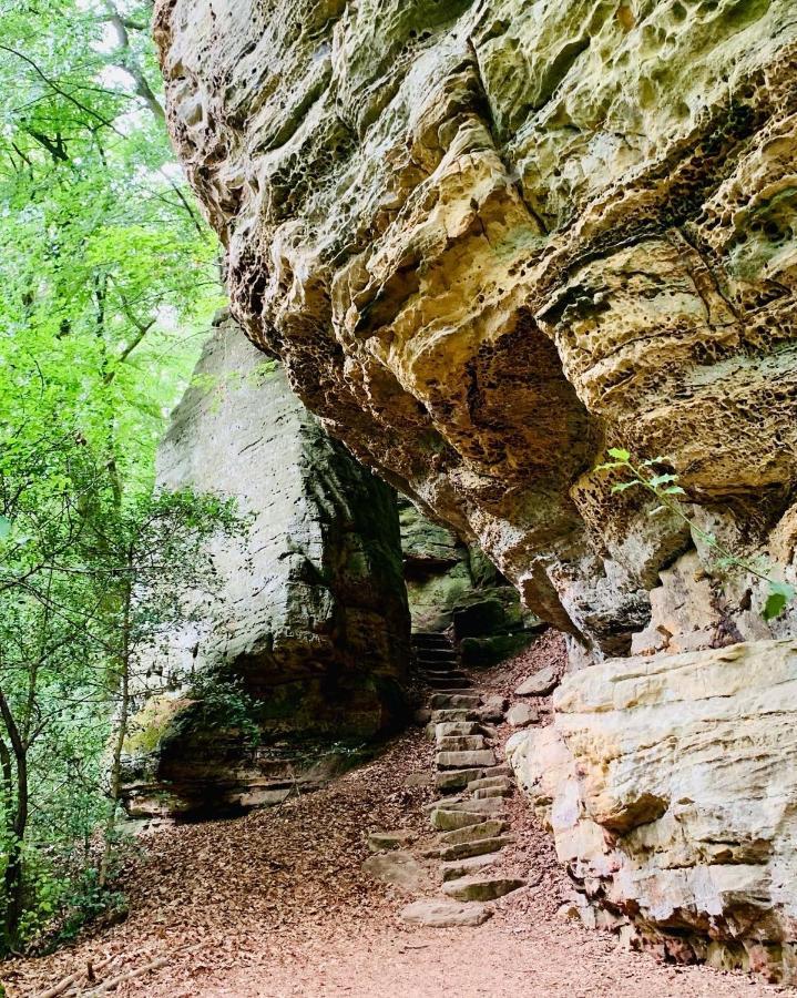 Tailor'S Trail Gite D'Adventure Beaufort Mullerthal エクステリア 写真