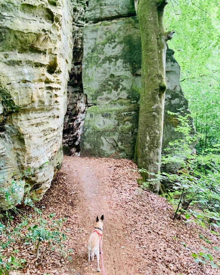 Tailor'S Trail Gite D'Adventure Beaufort Mullerthal エクステリア 写真